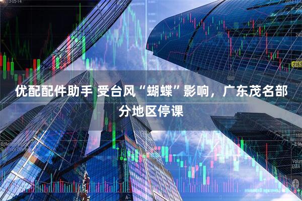 优配配件助手 受台风“蝴蝶”影响，广东茂名部分地区停课