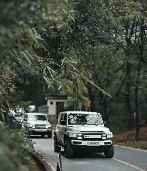 东启网 终是也没忍住订了这辆iCAR V23，真的太香了